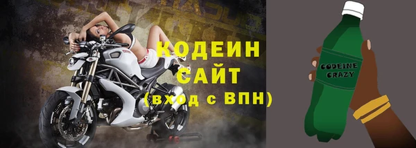 прущие крисы Корсаков