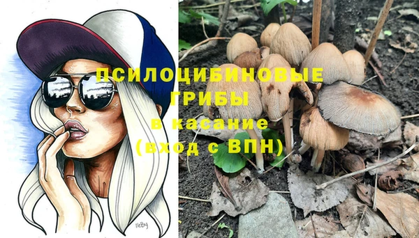 стафф Коряжма