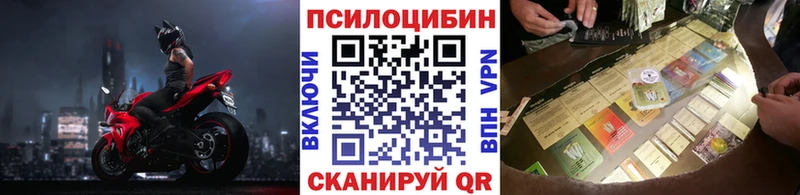Псилоцибиновые грибы GOLDEN TEACHER  Купить где  Галич 